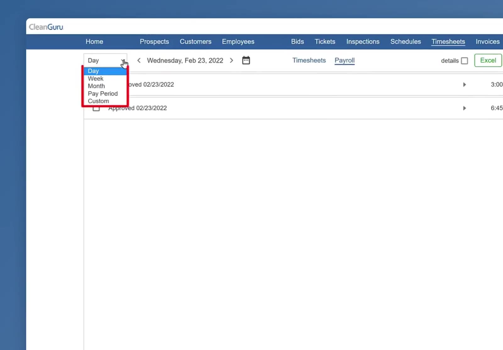 The period dropdown — Day, Week, Month, Pay Period and Custom.